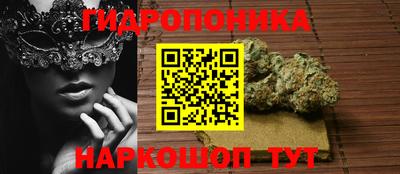 2c-b Гусиноозёрск