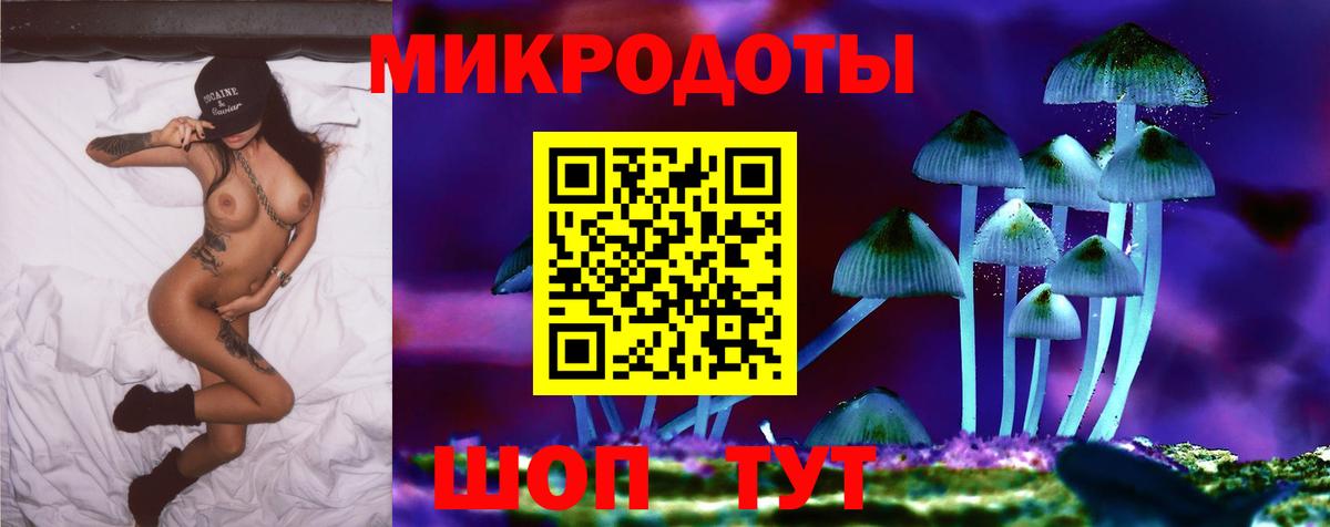 Псилоцибиновые грибы ЛСД Новоалександровск