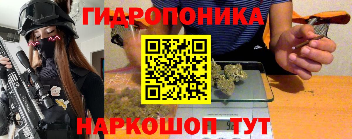 МАРИХУАНА планчик  Бошки марихуана SATIVA & INDICA  Вход с VPN  Новоалександровск  Марихуана White Widow 